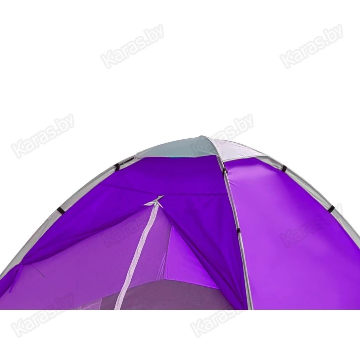 Туристическая палатка Calviano Acamper Domepack 2 Purple