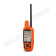 Навигатор Garmin Alpha 50 2.6" (дюйма) с ошейником T5