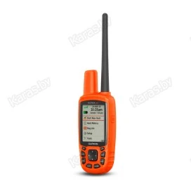 Навигатор Garmin Alpha 50 2.6" (дюйма) с ошейником T5