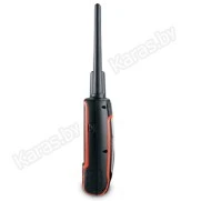 Навигатор Garmin Astro 320 2.6" (дюйма) с ошейником T5
