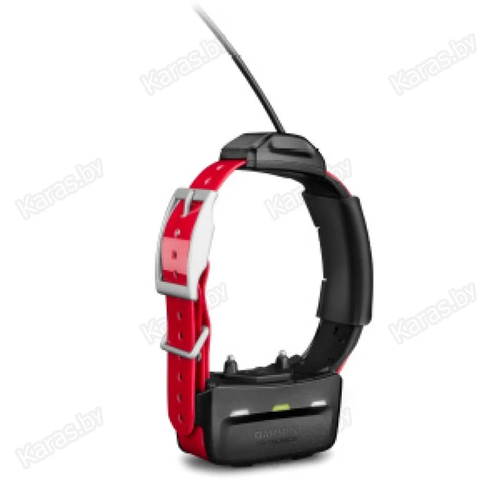 GPS-трекер Garmin Ошейник TT15