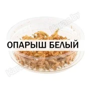 Опарыш белый (1 банка/10 гр)