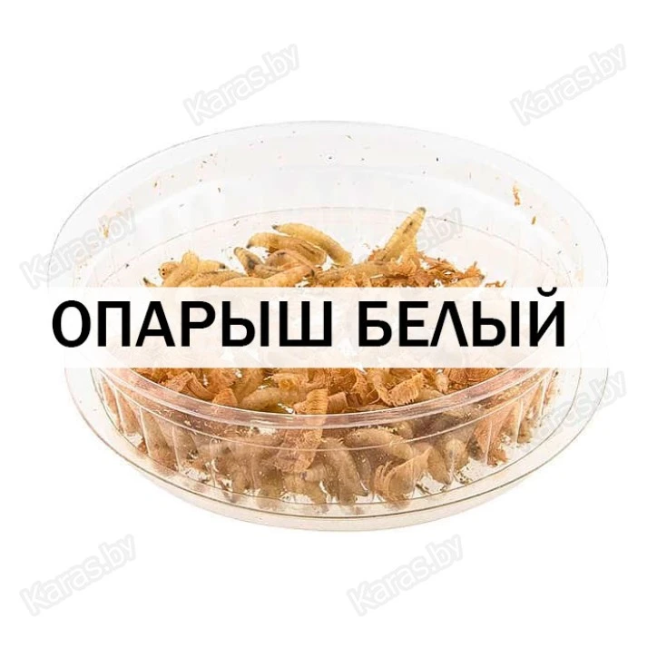 Опарыш белый (1 банка/10 гр)