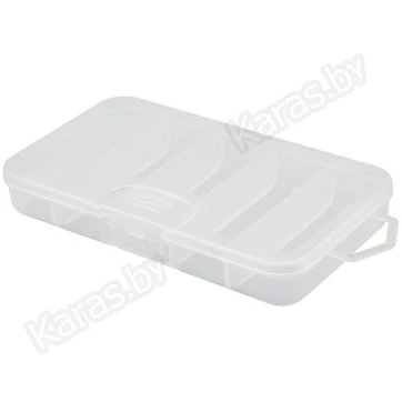 Коробка 5 отделений RS (9.5х6.5х2.5 см)