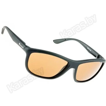 Очки поляризационные Tagrider N29-1 Brown в чехле