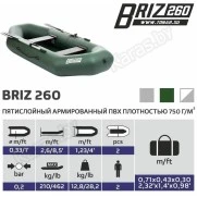Надувная 2-местная ПВХ лодка Тонар Бриз 260 (без настила, зеленая)