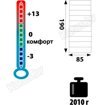 Спальник Tramp Walrus (-3°С)