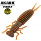 Личинка стрекозы Akara Eatable Insect 50 мм