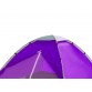 Туристическая палатка Calviano Acamper Domepack 4 Purple