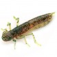 Личинка FishUp Dragonfly 1.2''