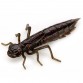 Личинка FishUp Dragonfly 1.2''