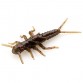 Личинка FishUp Stonefly 0.75''