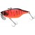 nh red tiger