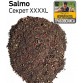 Прикормка Salmo Секрет XXXXL (рецепт Нормунда Грабовскиса) 1кг