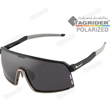 Очки поляризационные Tagrider N34-2 Gray в чехле