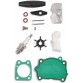 Лодочный мотор 2-тактный бензиновый Toughlon T5
