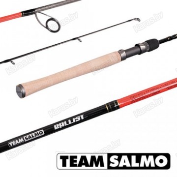 Спиннинг Team Salmo BALLIST 5.90/ML-TSBA1-591F,штеккерный, 5.9/1.80 м, тест: 3-12 г , 98 г
