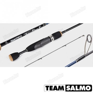 Спиннинг TEAM SALMO Troutino F 1.98м, тест 2,5-8, carbon 40T, 83 гр