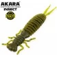 Личинка стрекозы Akara Eatable Insect 65 мм