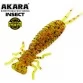 Личинка стрекозы Akara Eatable Insect 65 мм
