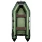 Надувная 2-местная ПВХ лодка Аква 2800 (зеленый, черный)
