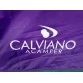 Туристическая палатка Calviano Acamper Domepack 2 Purple