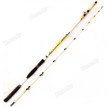 Спиннинг Condor Searider, стекловолокно, штекерный, 2.4 м, тест: до 150 г, 240 г
