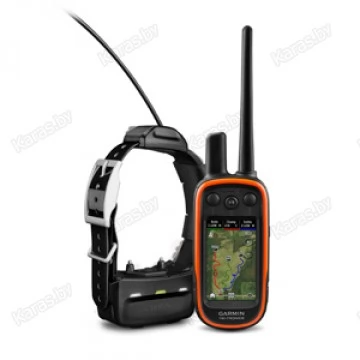 Навигатор Garmin Alpha 100 с ошейником TT5