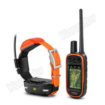 Навигатор Garmin Alpa 100 3" (дюйма) с ошейником T5