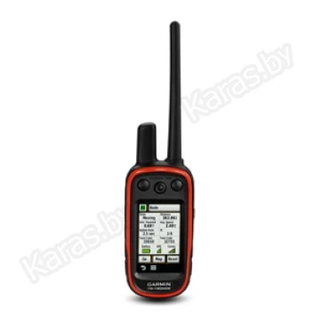 Навигатор Garmin Alpa 100 3" (дюйма) с ошейником T5