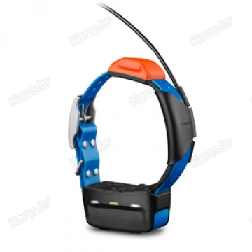 GPS-трекер Garmin Ошейник T5