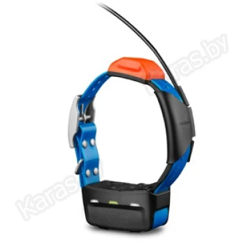 GPS-трекер Garmin Ошейник T5