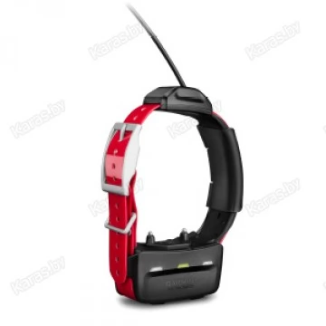 GPS-трекер Garmin Ошейник TT15