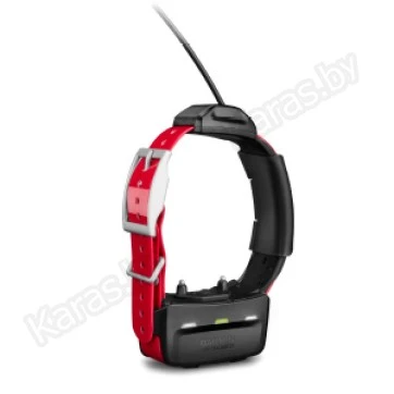 GPS-трекер Garmin Ошейник TT15