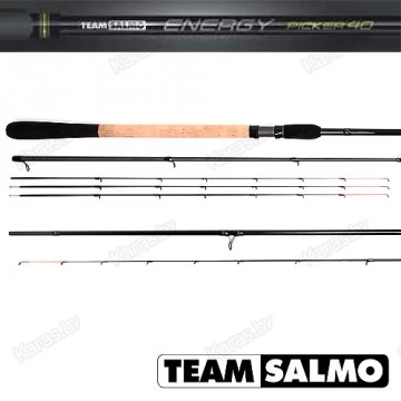 Удилище пикерное TEAM SALMO ENERGY Picker 40, 3.0 м, тест 40 г, карбон, 170 г
