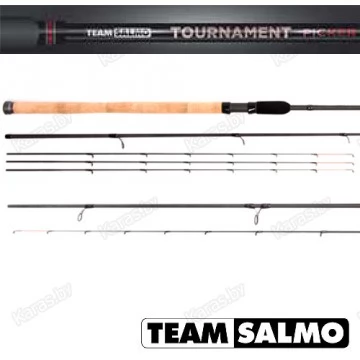 Удилище пикерное TEAM SALMO TOURNAMENT Picker 40, 3.0 м, тест 40 г, карбон, 138 г