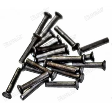 Заклепки стальные 2,5x16 для палаток Лотос (10 шт.)