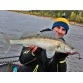Виброхвосты Lucky John MINNOW 2.2"