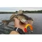 Виброхвосты Lucky John 3D Series Red Tail Shad 3.5"