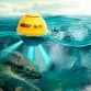 Эхолот беспроводной Lucky Fish Finder FFW718LA