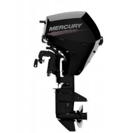 Лодочный мотор 4-тактный бензиновый Mercury F20 E EFI
