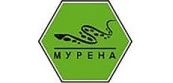 Мурена