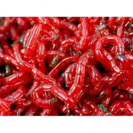 Мотыль крупный (10 гр)