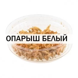 Опарыш белый (1 банка/10 гр)