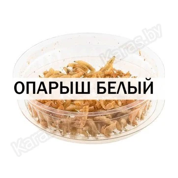 Опарыш белый (1 банка/10 гр)