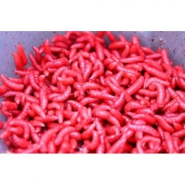 Опарыш красный (1 банка/10 гр)