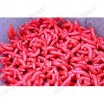 Опарыш красный (1 банка/10 гр)