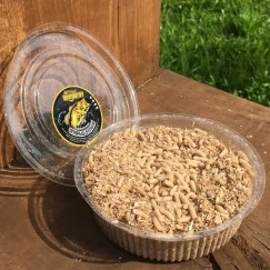 Опарыш белый (1 банка/100 гр)