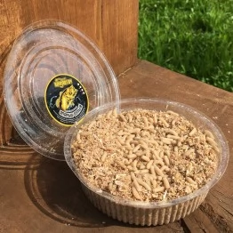 Опарыш белый (1 банка/100 гр)