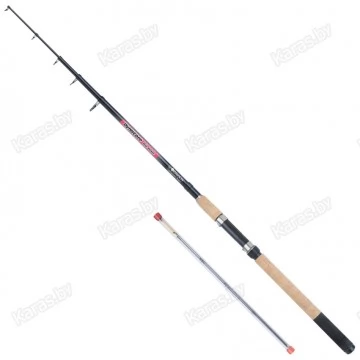 Удилище пикерное Robinson DynaCore Tele Picker, композит, телескоп, 2.7 м, тест до 30 г, 213 г